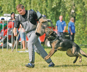 Komendant zaprasza na piknik