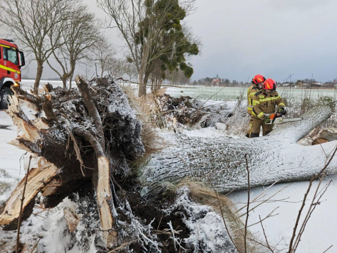 Wichura zniszczyła zabytkową kapliczkę przy sanktuarium