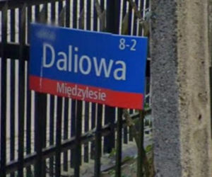 Oto najbardziej wiosenne ulice w stolicy! Tu wiosna trwa cały rok!