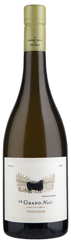 Czarna owca