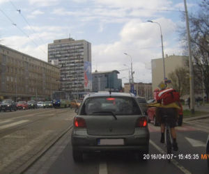 Poznaj wrocławskie jelenie rowerowe