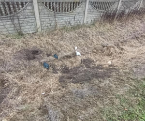 Zabił Walentynę, bo chciała od niego odjeść. Koszmar na Mazowszu