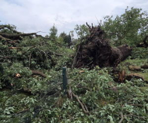 Krajobraz jak po apokalipsie. Wichura zniszczyła gminę Mysłakowice w kilkanaście minut