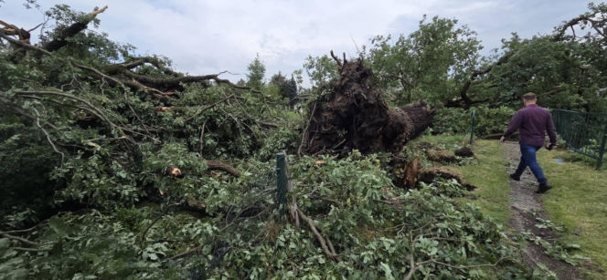 Krajobraz jak po apokalipsie. Wichura zniszczyła gminę Mysłakowice w kilkanaście minut