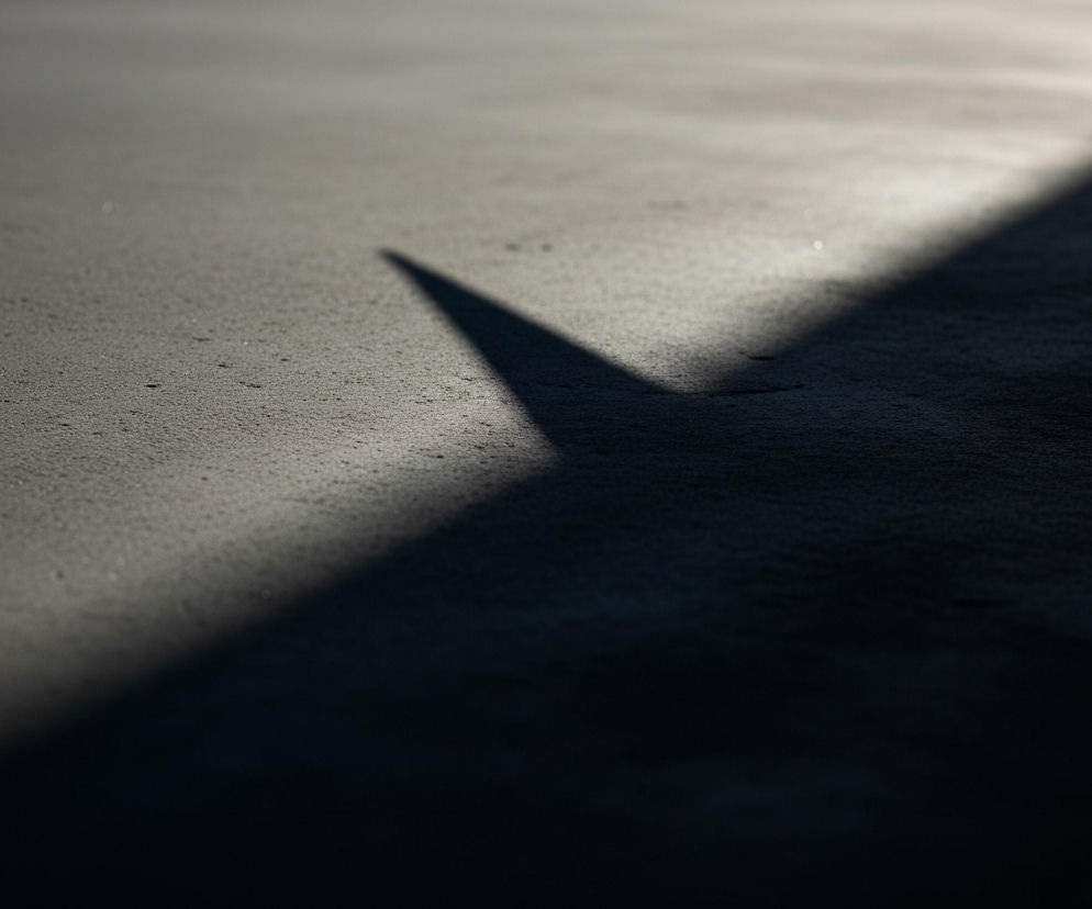 Po przekątnej przez obraz, od lewego dolnego rogu do prawego górnego, biegnie granica cienia. Lewa górna część jest jasnoszara, o ziarnistej teksturze, z delikatnymi, rozmytymi, białymi punktami odblasków. Prawa dolna część jest znacznie ciemniejsza, prawie czarna, również z ziarnistą teksturą. W centralnej części obrazu, na jasnoszarej powierzchni, znajduje się ostry, trójkątny cień, który stopniowo zanika w ciemniejszej części.