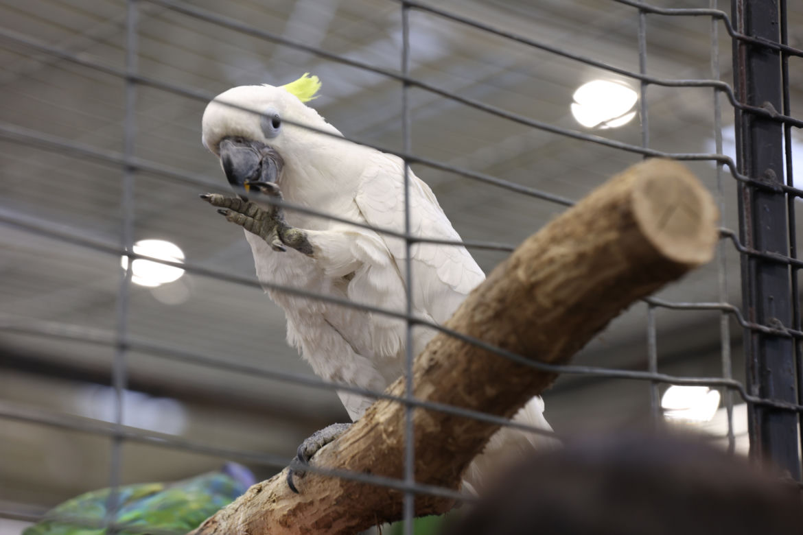 ZooPark 2023 w Lublinie przyciągnął tłumy!