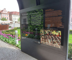 Plac Kolegiacki - nowa przestrzeń z wyjątkową historią