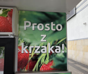 Musisz to zobaczyć! W Warszawie stanął truskawkomat. Owoce prosto z pola o każdej porze dnia i nocy!