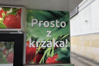 Musisz to zobaczyć! W Warszawie stanął truskawkomat. Owoce prosto z pola o każdej porze dnia i nocy!
