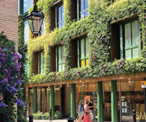 Zielone fasady odmieniają miasta