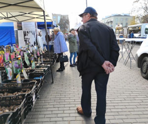 5. Jesienny Jarmark Staropolski w centrum Siedlec