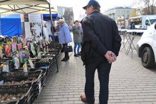 5. Jesienny Jarmark Staropolski w centrum Siedlec