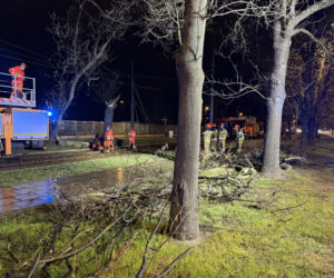 Powalone drzewa i awarie prądu w części województwa