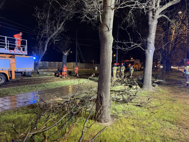 Powalone drzewa i awarie prądu w części województwa
