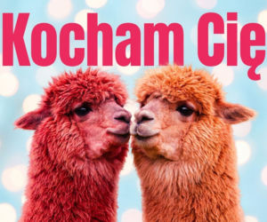 Romantyczne kartki walentynkowe dla niej - klasyka, która zawsze wzrusza