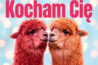 Romantyczne kartki walentynkowe dla niej - klasyka, która zawsze wzrusza