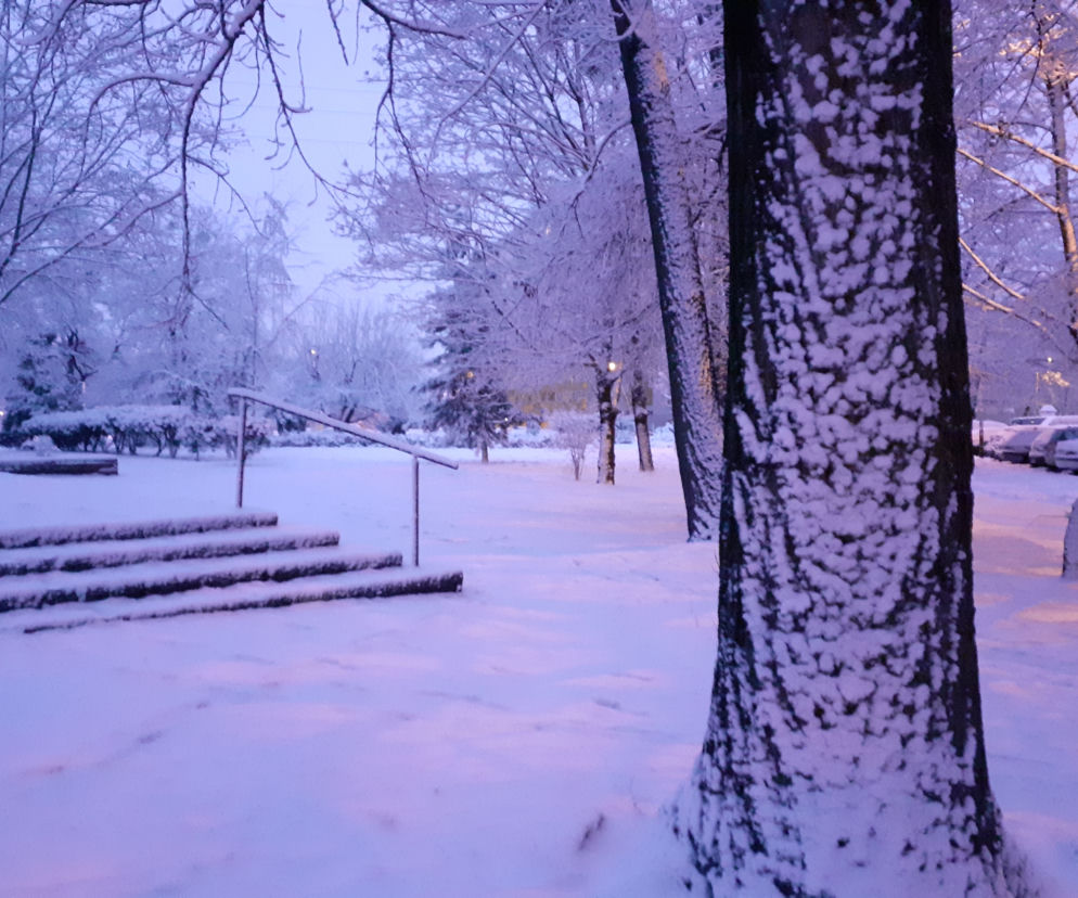 Kolejny atak zimy we Wrocławiu. Ale śniegu!