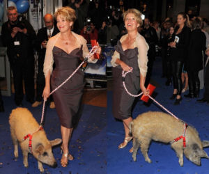 Emma Thompson ze świnką