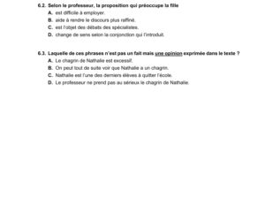 Matura 2021: Język francuski- poziom rozszerzony  [ARKUSZE CKE]