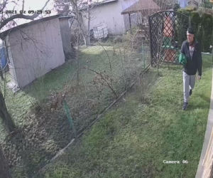 Gliwice: Okradł altankę działkową. Został nagrany jak ucieka z czteropakiem piwa. Rozpoznajesz go? [ZDJĘCIA]