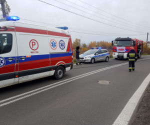 Rozbiła się z dziećmi na drzewie