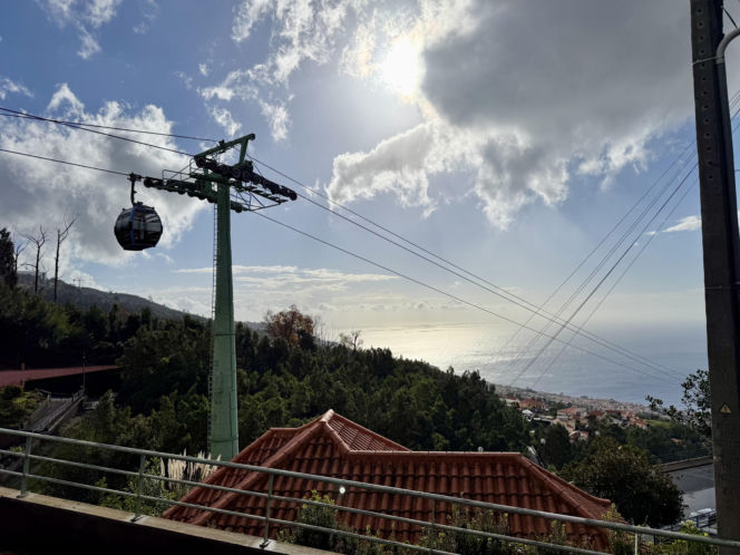 Jardim Botânico da Madeira (Ogród Botaniczny w Funchal)