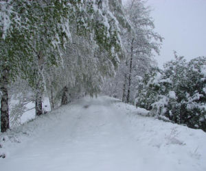 Chełmsko Śląskie - śnieg w maju