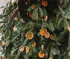 Naturalne ozdoby na choinkę