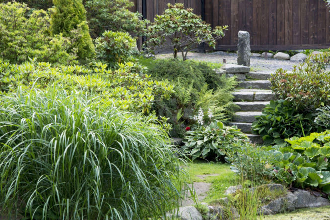 Ogród w stylu japońskim