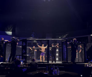 King's Arena2. Klatka i Lwy