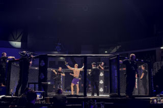 King's Arena2. Klatka i Lwy