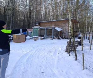 Wataha psów zaatakowała pod Siedlcami