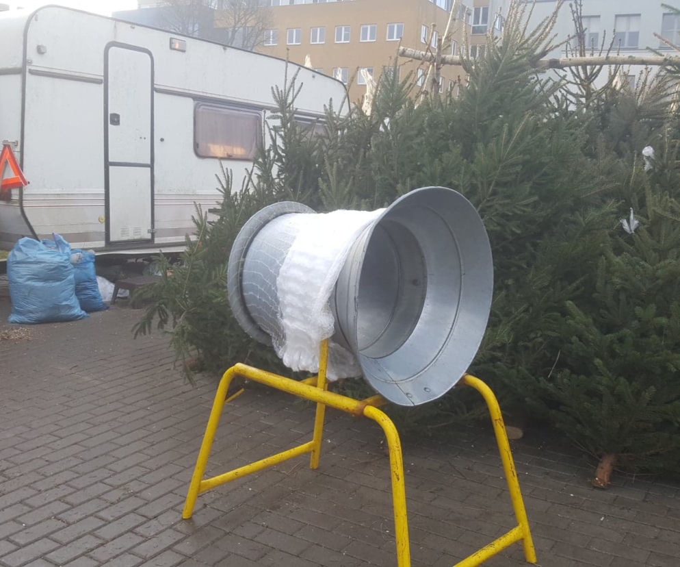 Stoisko z choinkami w Gdańsku.