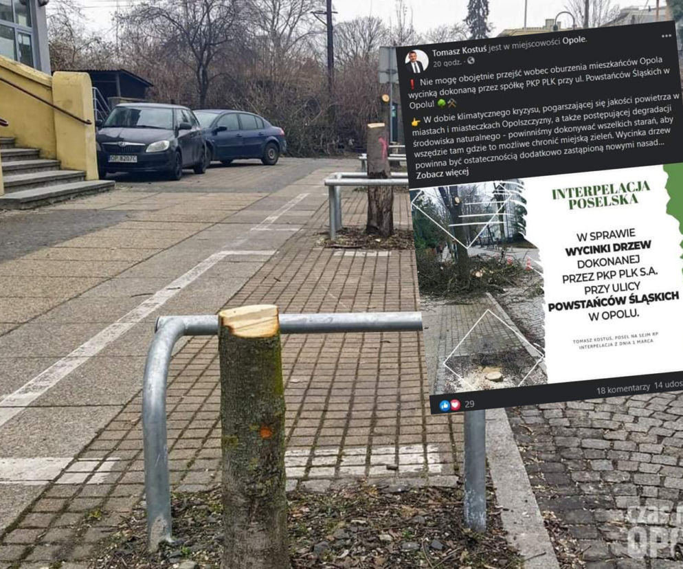 Opole. Afera z PKP po wycince drzew! Poseł zapowiada interpelację
