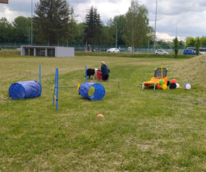 Pies, Sport i Ty - 2022