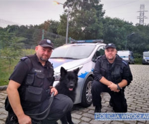 Policyjny Nos miał nosa! Pies uratował starszego człowieka
