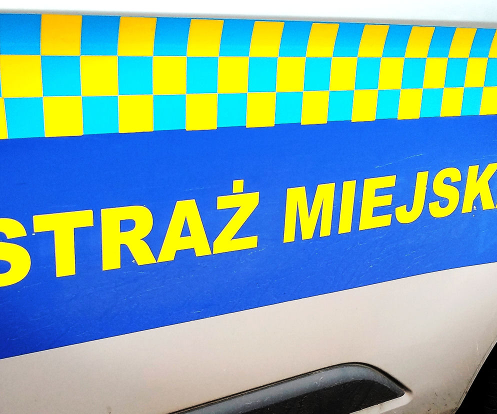 Bełchatów: Pościg w centrum. 19-latek uciekał z koszykiem pełnym kradzionych perfum!