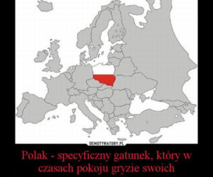 Memy