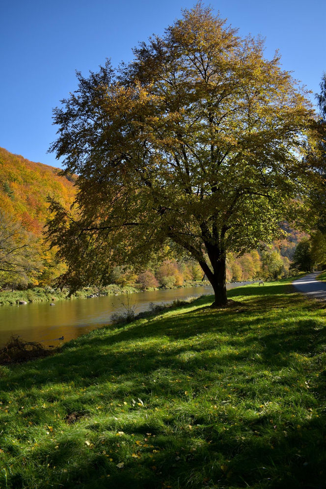 Małopolska wieś, która zachwyciła filmowców. Jesienią można poczuć się jak na planie