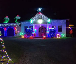 Magia Świąt w Świętokrzyskiem. Gdzie szukać najpiękniej oświetlonych domów? Rzepin i gmina Pawłów skradły show!