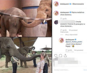 Na Instagramie zasugerowała, jak naprawdę się zachowuje.