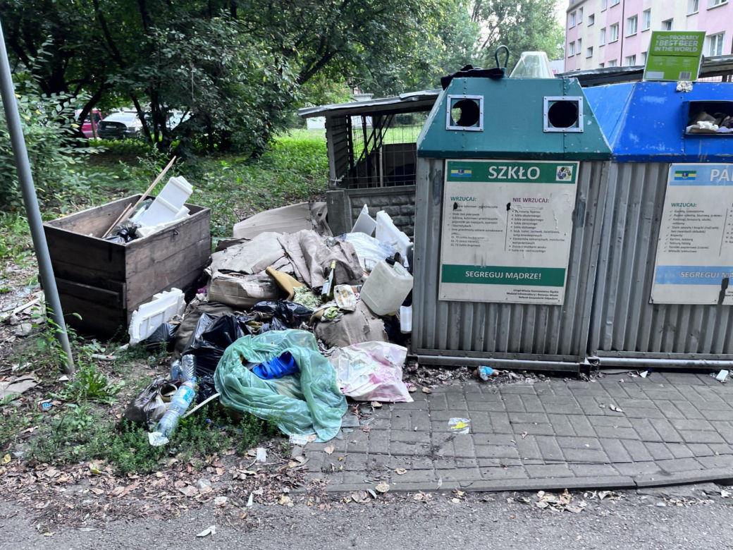 Plaga szczurów w Siemianowicach Śląskich. Miasto prosi mieszkańców o porządek