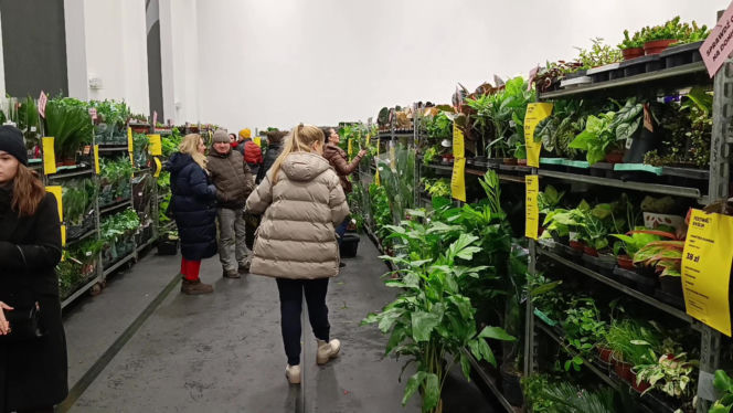 Festiwal Roślin w Enea Arenie