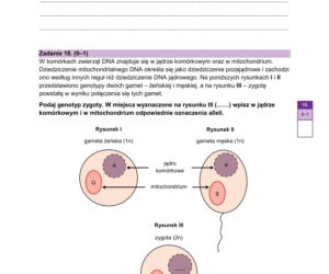 Matura próbna 2026 - biologia. Wszystkie odpowiedzi do arkusza CKE z biologii 14.01.2026