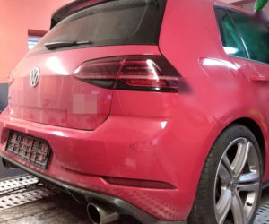 Golf ze Szwecji w dziupli pod Wołominem 