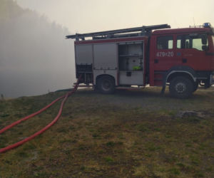Pożar Lubańskiego Wielkiego Lasu 