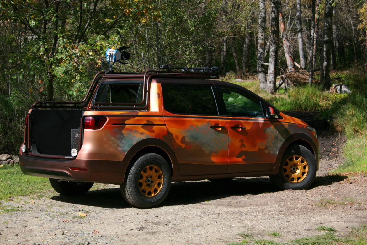 Kia Sedona Photo Safari