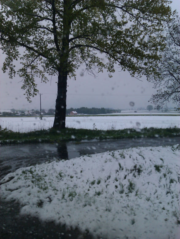 Zima w maju 2011 - zdjęcia Czytelników (Kłodzko, Bardo, okolice Ząbkowic Śląskich)