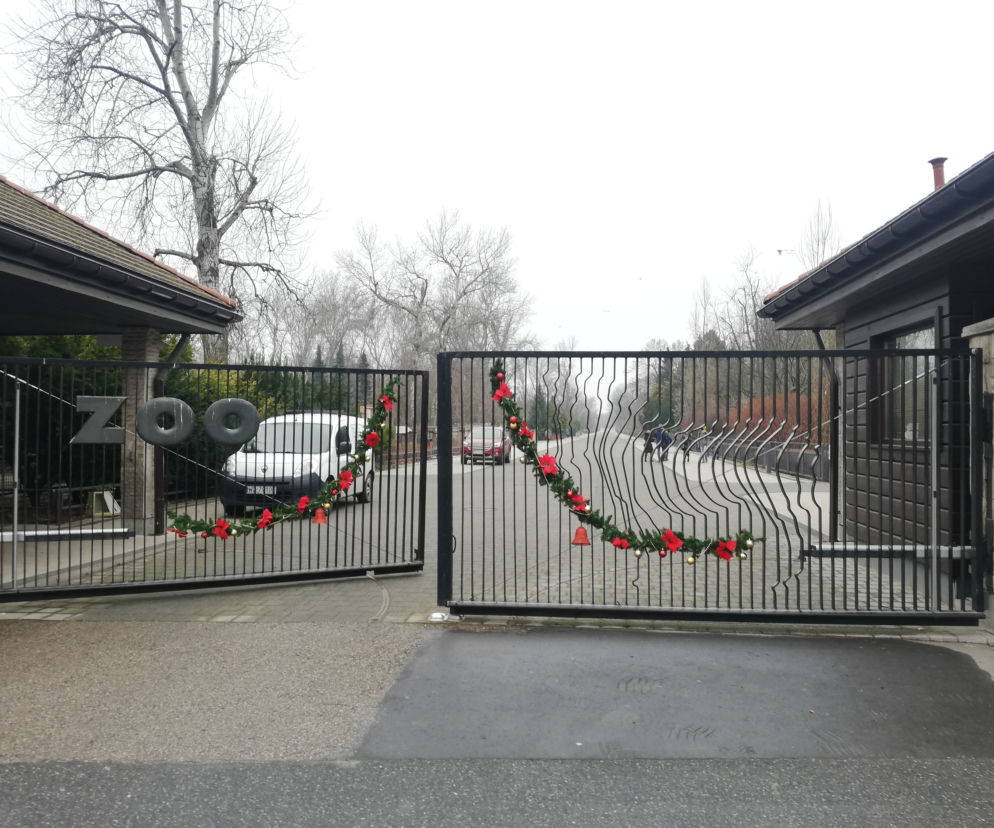 Brama wejściowa do ZOO