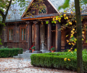 Pałac w Radziejowicach